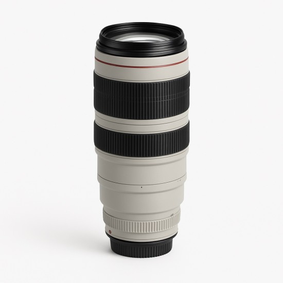 Canon 100-400mm 1:4.5-5.6 EF L IS USM