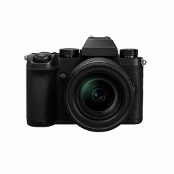 Panasonic Lumix DC-S5II
