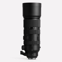 Sigma 60-600mm 1:4.5-6.3 Sports DG OS HSM für Canon EF (SI730-954)