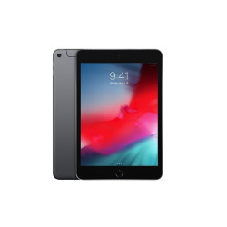 Apple iPad mini 5 (2019) 256GB 4G