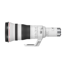 Canon RF 800mm F5.6L IS USM (5055C005)
