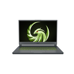 MSI Delta 15, AMD Advantage™ Edition