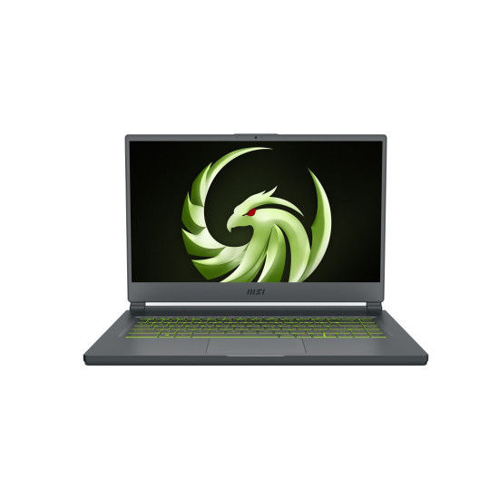 MSI Delta 15, AMD Advantage™ Edition